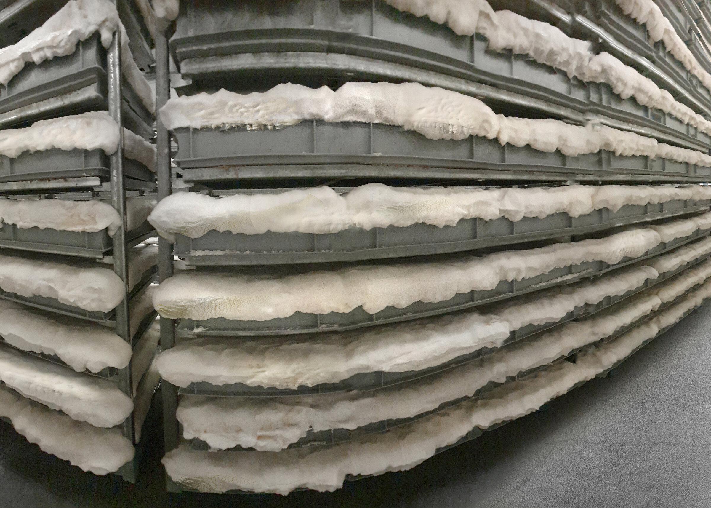 Mylo grow facility
